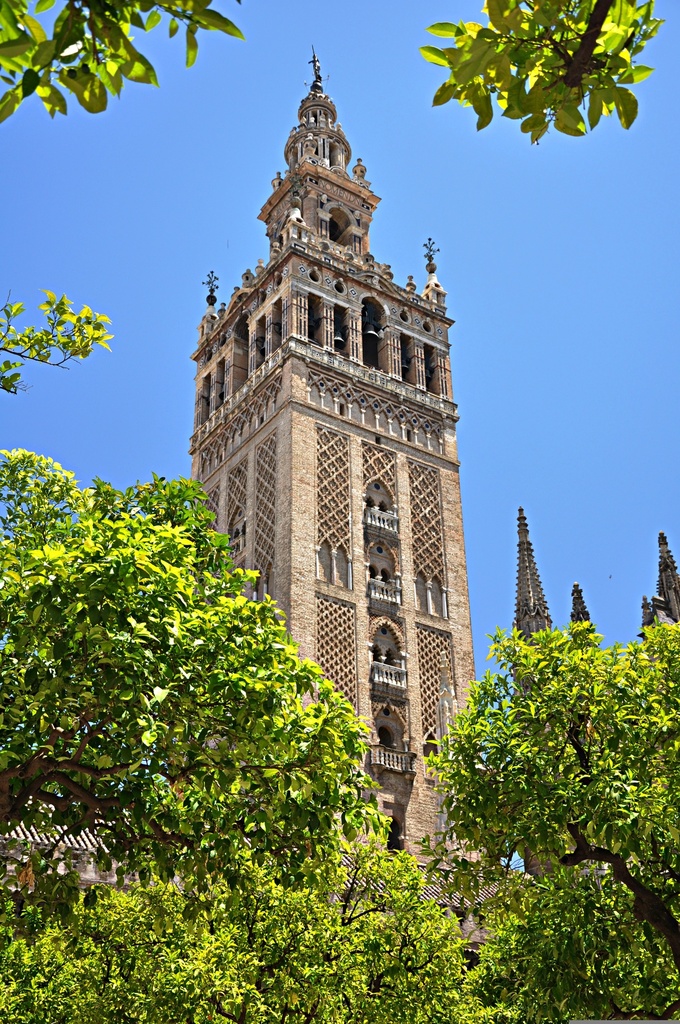 VISITA GUIADA OFICIAL CATEDRAL Y GIRALDA DE SEVILLA