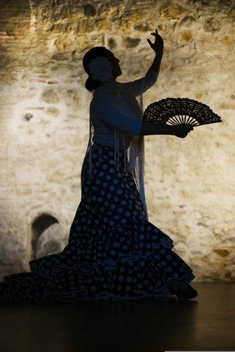 ESPECTÁCULO FLAMENCO